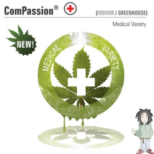 Dutch Passion Compassion Medical Cannabis
